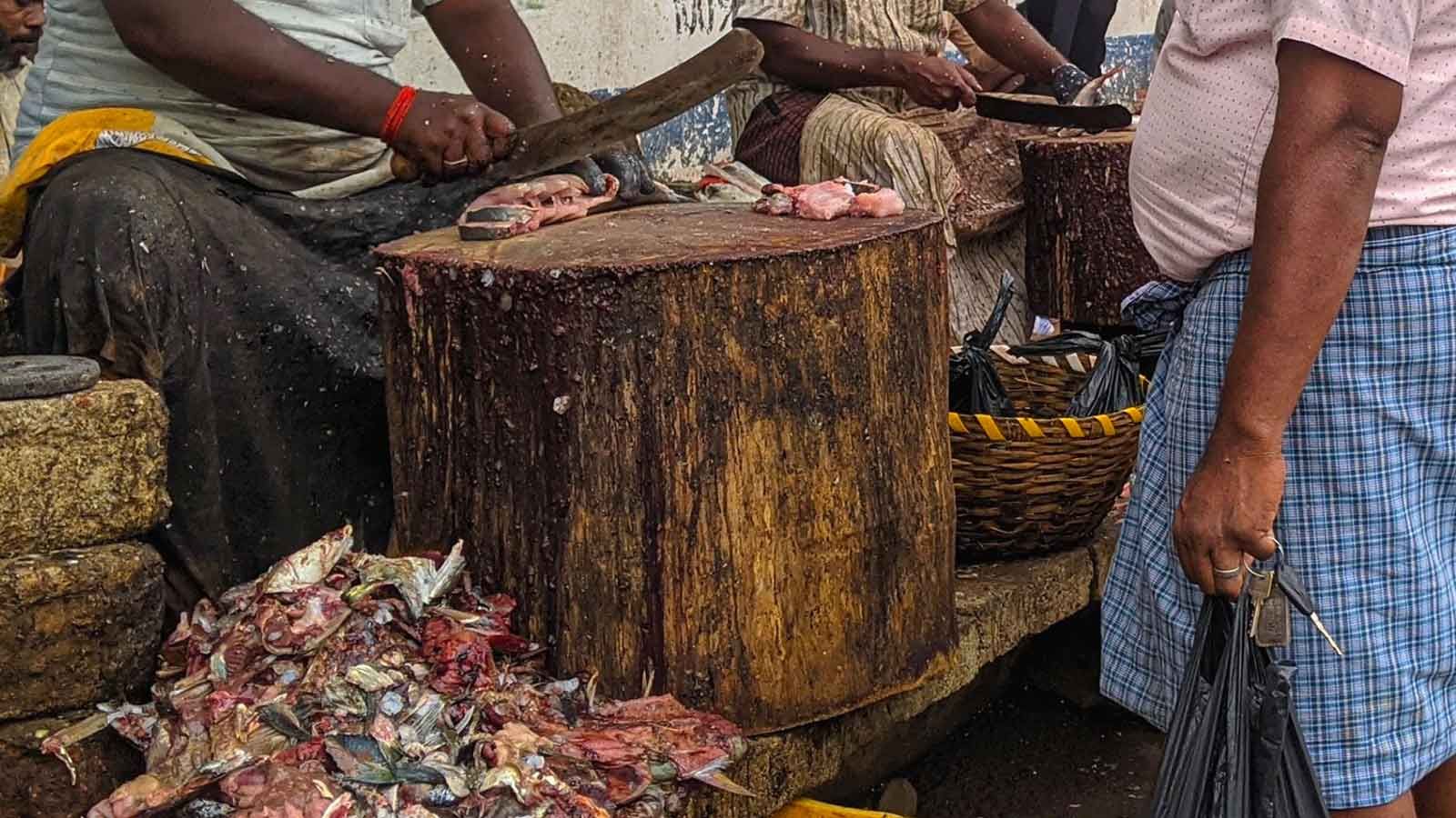 Modernization of Sassoon Dock Essential: Bombay HC In PIL Alleging Poor Hygiene At Fish Market Near Colaba Modernization of Sassoon Dock Essential: Bombay HC In PIL Alleging Poor Hygiene At Fish Market Near Colaba